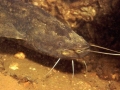 K1024_56.JPG