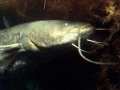 K1024_58.JPG