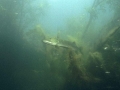 K1024_59.JPG