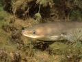 K1024_60.JPG