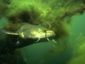 K1024_61.JPG